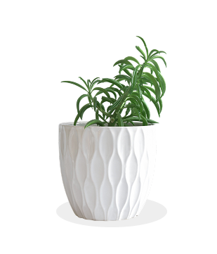 Ceramic Pot
