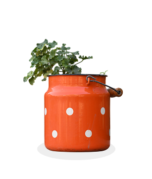 Painted Pot
