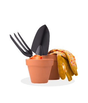 Classic Terracotta Set